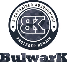 logo bulwark